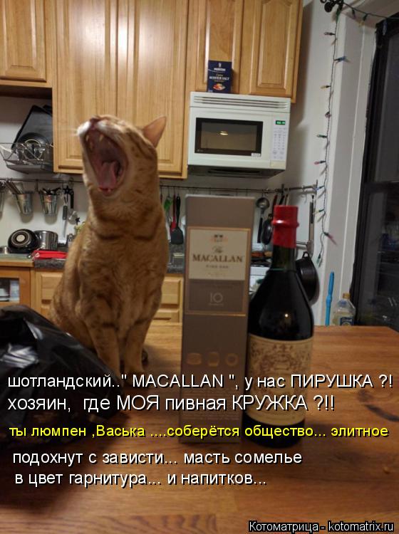 шотландский.." MACALLAN ", у нас ПИРУШКА ?! хозяин, где МОЯ пивная КРУЖКА ?!! подохнут с зависти... ... Котоматрица: шотландский.." MACALLAN ", у нас ПИРУШКА ?! хозяин, где МОЯ пивная КРУЖКА ?!! подохнут с зависти... масть сомелье в цвет гарнитура... и напитков... ты лю