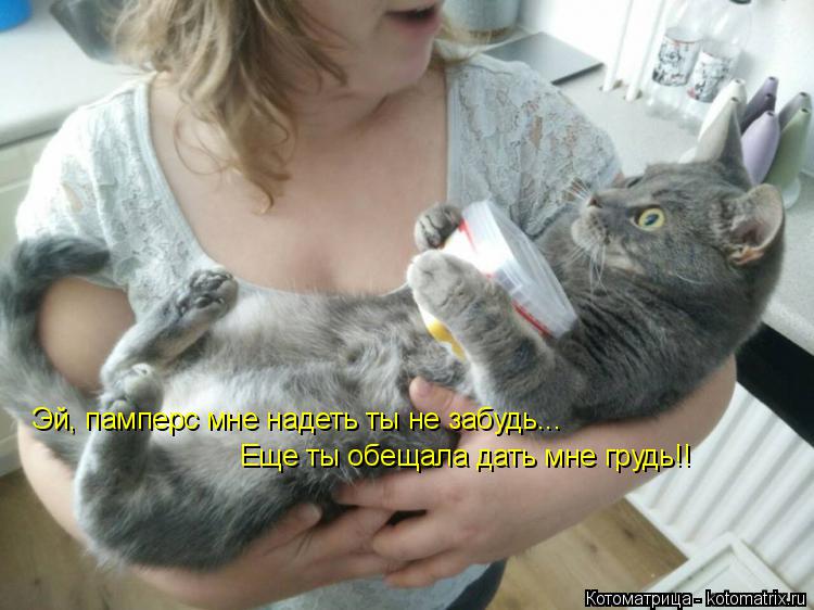 Эй, памперс мне надеть ты не забудь... Еще ты обещала дать мне грудь!!... Котоматрица: Эй, памперс мне надеть ты не забудь... Еще ты обещала дать мне грудь!!