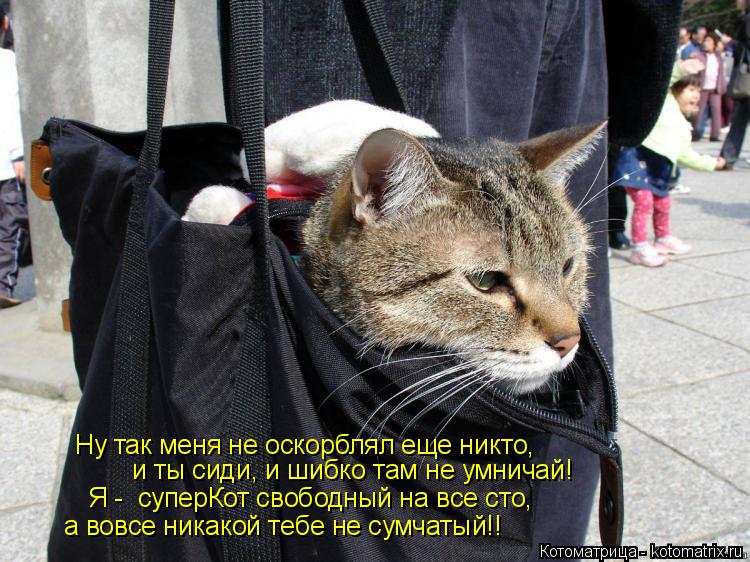 Ну так меня не оскорблял еще никто, и ты сиди, и шибко там не умничай! Я - суперКот свободный на все... Котоматрица: Ну так меня не оскорблял еще никто, и ты сиди, и шибко там не умничай! Я - суперКот свободный на все сто, а вовсе никакой тебе не сумчатый!!
