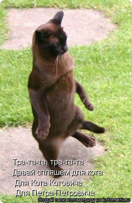 Тра-та-та, тра-та-та Давай спляшем для кота Для Кота Котовича Для Петра Петровича... Котоматрица: Тра-та-та, тра-та-та Давай спляшем для кота Для Кота Котовича Для Петра Петровича