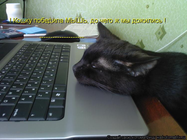 ! Кошку победила МЫШЬ, до чего ж мы дожились ! --------------------... Котоматрица: ! Кошку победила МЫШЬ, до чего ж мы дожились ! --------------------