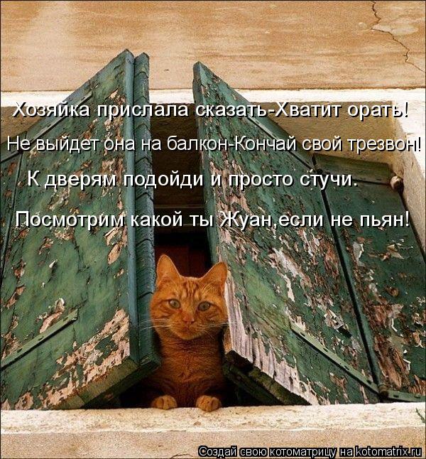 Хозяйка прислала сказать-Хватит орать! Не выйдет она на балкон-Кончай свой трезвон! Посмотрим какой т... Котоматрица: Хозяйка прислала сказать-Хватит орать! Не выйдет она на балкон-Кончай свой трезвон! Посмотрим какой ты Жуан,если не пьян! К дверям подойди и