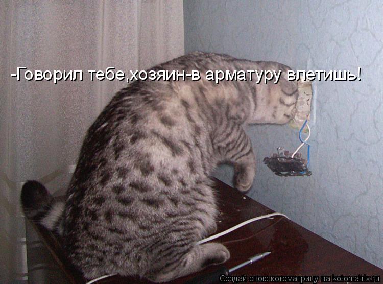 -Говорил тебе,хозяин-в арматуру влетишь!... Котоматрица: -Говорил тебе,хозяин-в арматуру влетишь!