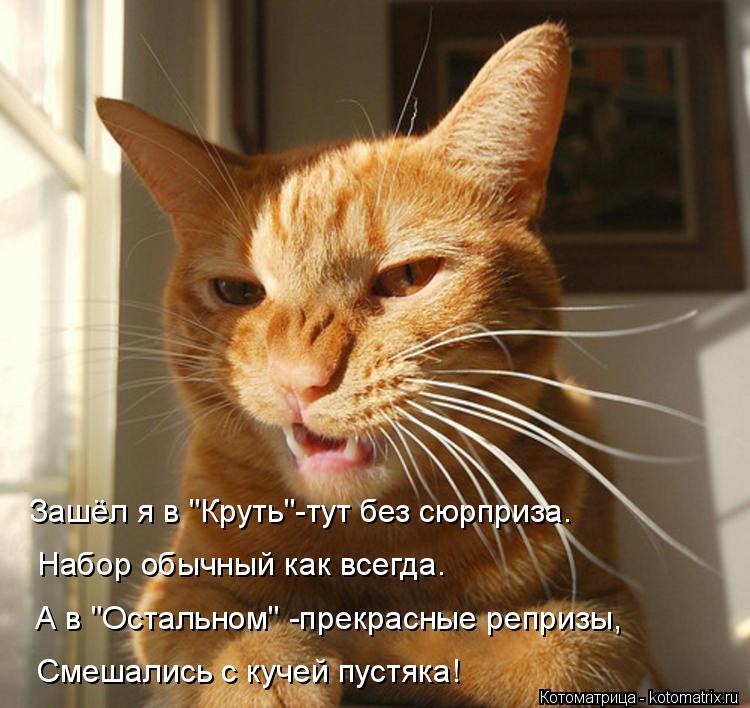 Зашёл я в "Круть"-тут без сюрприза. Набор обычный как всегда. А в "Остальном" -прекрасные репризы, См... Котоматрица: Зашёл я в "Круть"-тут без сюрприза. Набор обычный как всегда. А в "Остальном" -прекрасные репризы, Смешались с кучей пустяка!