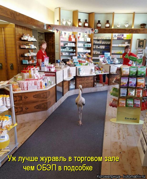 Уж лучше журавль в торговом зале чем ОБЭП в подсобке... Котоматрица: Уж лучше журавль в торговом зале чем ОБЭП в подсобке