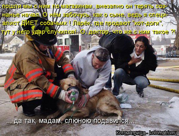 ... да так, мадам, слюною подавился... пошли мы с ним по магазинам, внезапно он терять соз- нанье нач... Котоматрица: ... да так, мадам, слюною подавился... пошли мы с ним по магазинам, внезапно он терять соз- нанье начал. О нём забочусь, как о сыне, ведь я специ- а