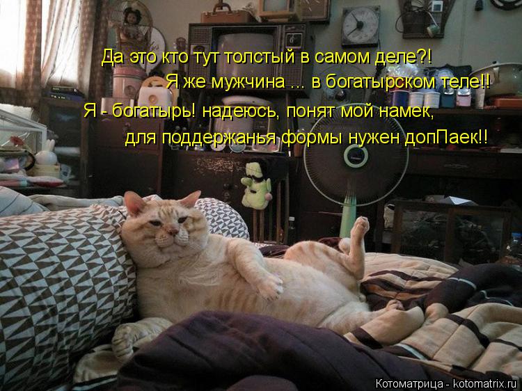 Да это кто тут толстый в самом деле?! Я же мужчина ... в богатырском теле!! Я - богатырь! надеюсь, по... Котоматрица: Да это кто тут толстый в самом деле?! Я же мужчина ... в богатырском теле!! Я - богатырь! надеюсь, понят мой намек, для поддержанья формы нужен до