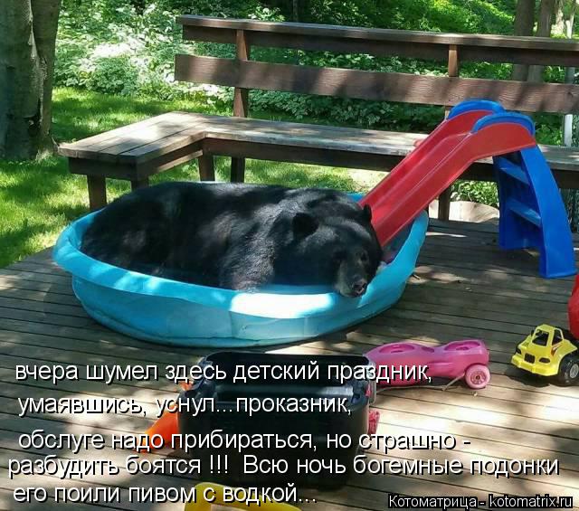 Котоматрица: вчера шумел здесь детский праздник, умаявшись, уснул...проказник, обслуге надо прибираться, но страшно -  его поили пивом с водкой... разбудит