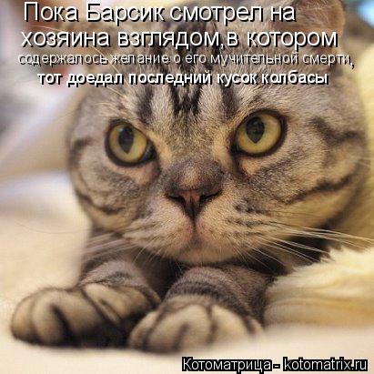 Котоматрица: Пока Барсик смотрел на  хозяина взглядом,в котором содержалось желание о его мучительной смерти тот доедал последний кусок колбасы ,