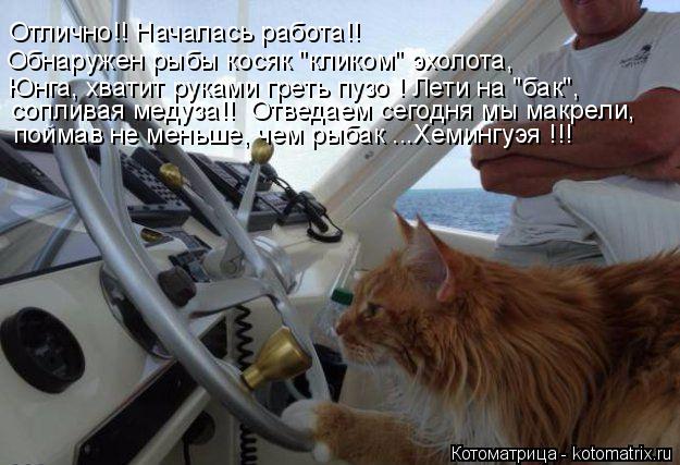 Котоматрица: поймав не меньше, чем рыбак ...Хемингуэя !!! сопливая медуза!!  Отведаем сегодня мы макрели, Юнга, хватит руками греть пузо ! Лети на "бак", Обнар