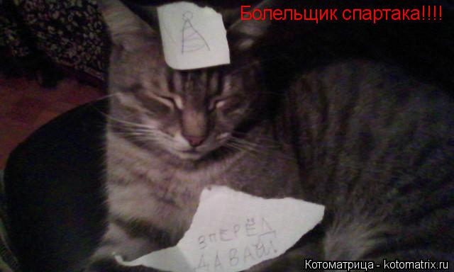 Котоматрица: Болельщик спартака!!!!