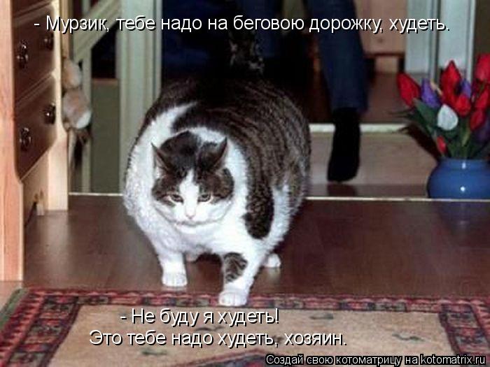 Котоматрица: - Мурзик, тебе надо на беговою дорожку, худеть. - Не буду я худеть! Это тебе надо худеть, хозяин.