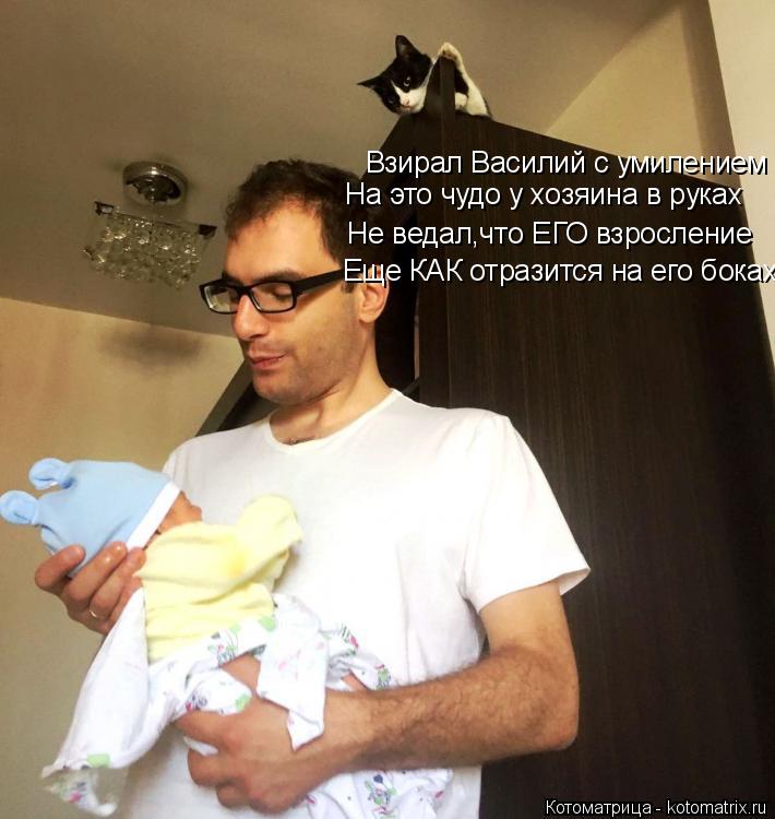 Котоматрица: Взирал Василий с умилением На это чудо у хозяина в руках Не ведал,что ЕГО взросление  Еще КАК отразится на его боках.