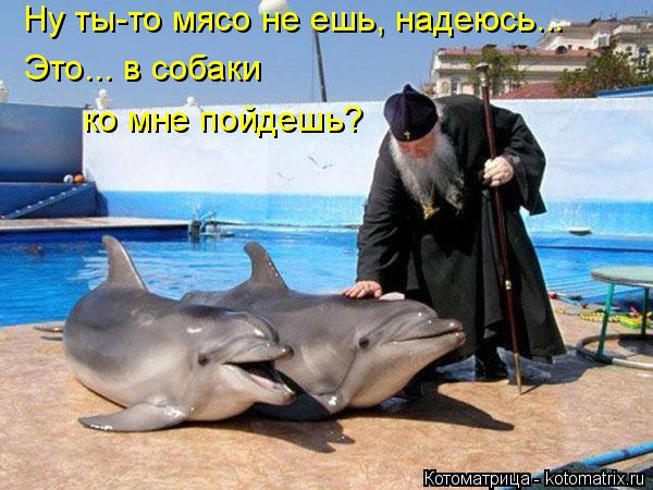 Котоматрица: Ну ты-то мясо не ешь, надеюсь... Это... в собаки ко мне пойдешь?