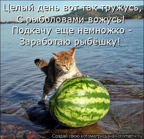 Котоматрица: Целый день вот так тружусь, С рыболовами вожусь! Подкачу еще немножко - Заработаю рыбёшку!