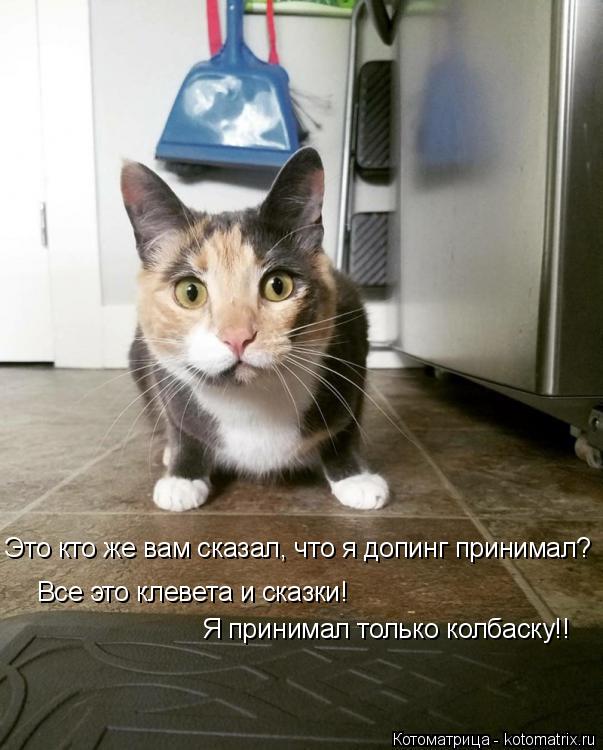 Котоматрица: Это кто же вам сказал, что я допинг принимал? Все это клевета и сказки!  Я принимал только колбаску!!