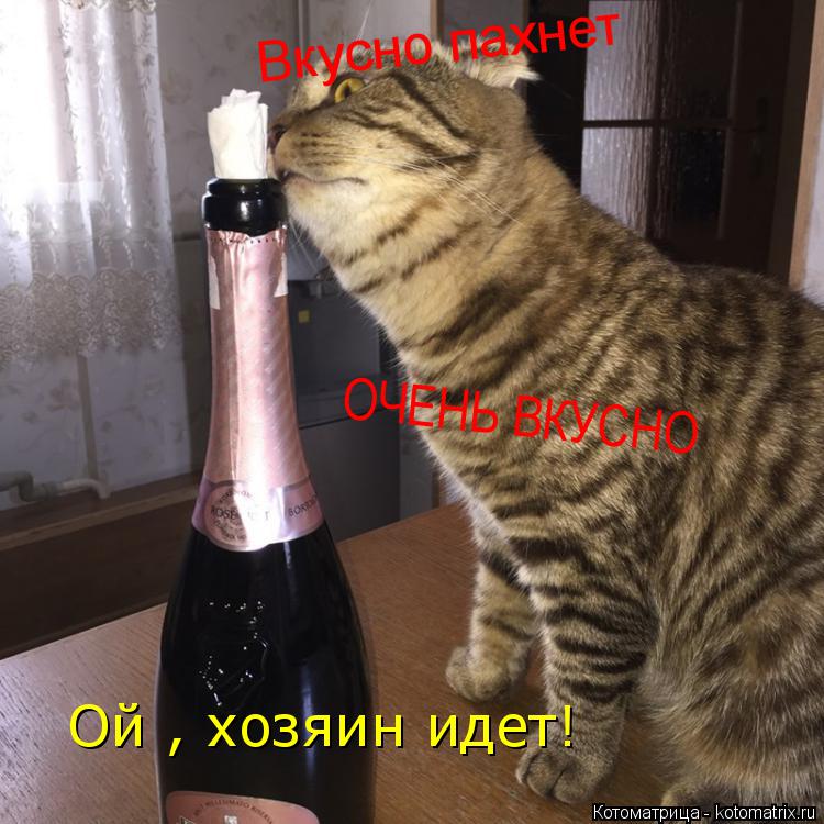 Котоматрица: Вкусно пахнет ОЧЕНЬ ВКУСНО Ой , хозяин идет!