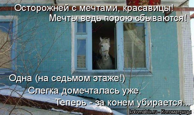 Котоматрица: Одна (на седьмом этаже!)  Слегка домечталась уже. Теперь - за конем убирается... Осторожней с мечтами, красавицы! Мечты ведь порою сбываются!