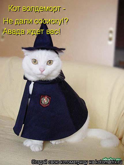 Котоматрица: Кот волдеморт - Не дали сосиску!? Авада ждет вас!