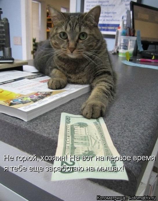 Котоматрица: Не горюй, хозяин! На вот на первое время я тебе еще заработаю на мышах!