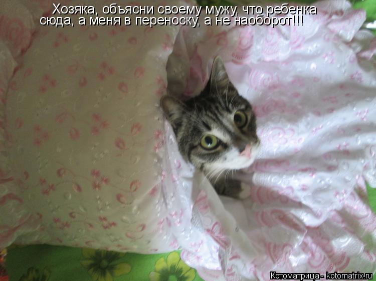 Котоматрица: Хозяка, объясни своему мужу, что ребенка сюда, а меня в переноску, а не наоборот!!!