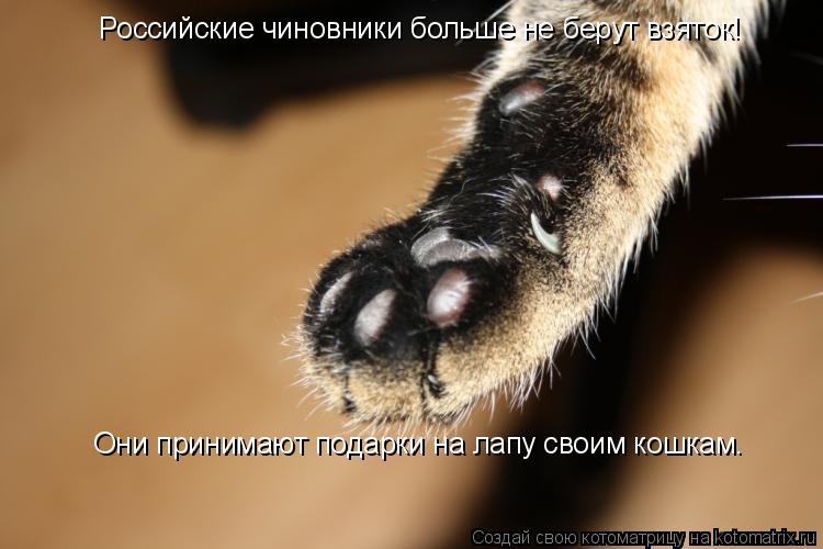 Котоматрица: Российские чиновники больше не берут взяток! Они принимают подарки на лапу своим кошкам.