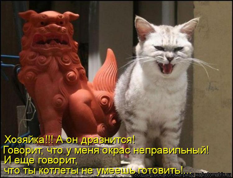 Котоматрица: Хозяйка!!! А он дразнится! И еще говорит,  что ты котлеты не умеешь готовить!... Говорит, что у меня окрас неправильный!