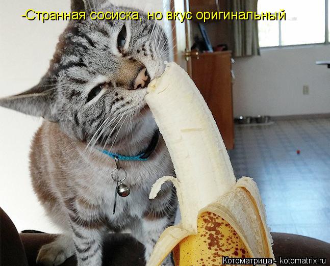 Котоматрица: -Странная сосиска, но вкус оригинальный