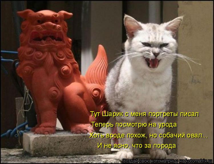 Тут Шарик с меня портреты писал Теперь посмотрю на урода Хоть вроде похож, но собачий овал... И не яс... Котоматрица: Тут Шарик с меня портреты писал Теперь посмотрю на урода Хоть вроде похож, но собачий овал... И не ясно, что за порода