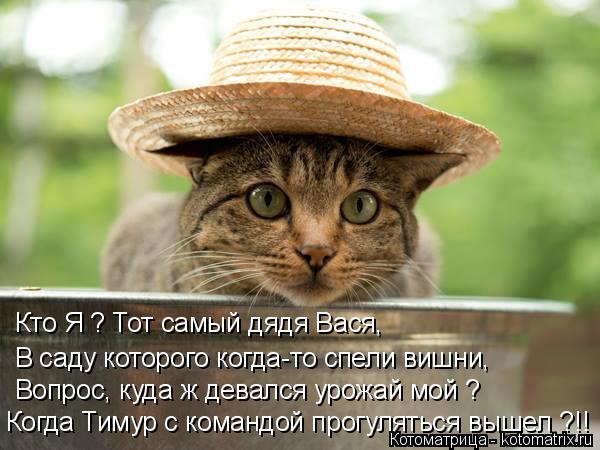 Кто Я ? Тот самый дядя Вася, В саду которого когда-то спели вишни, Вопрос, куда ж девался урожай мой ... Котоматрица: Кто Я ? Тот самый дядя Вася, В саду которого когда-то спели вишни, Вопрос, куда ж девался урожай мой ? Когда Тимур с командой прогуляться вышел
