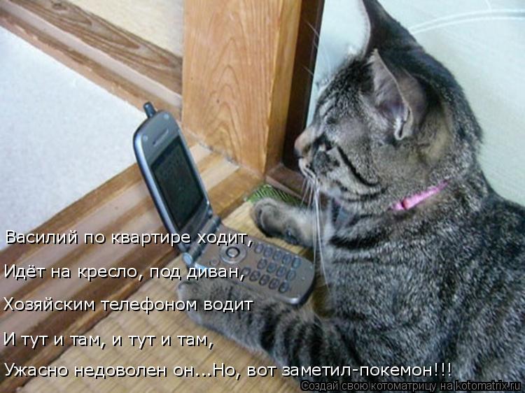 Котоматрица: Василий по квартире ходит, Идёт на кресло, под диван, Хозяйским телефоном водит И тут и там, и тут и там, Ужасно недоволен он...Но, вот заметил-