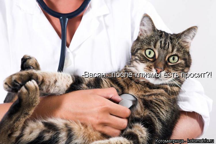 Котоматрица: -Васян...после клизмы есть просит?!