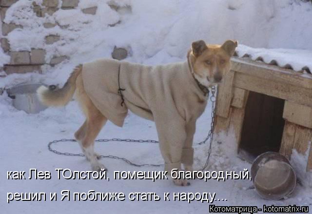 как Лев ТОлстой, помещик благородный, решил и Я поближе стать к народу....... Котоматрица: как Лев ТОлстой, помещик благородный, решил и Я поближе стать к народу....