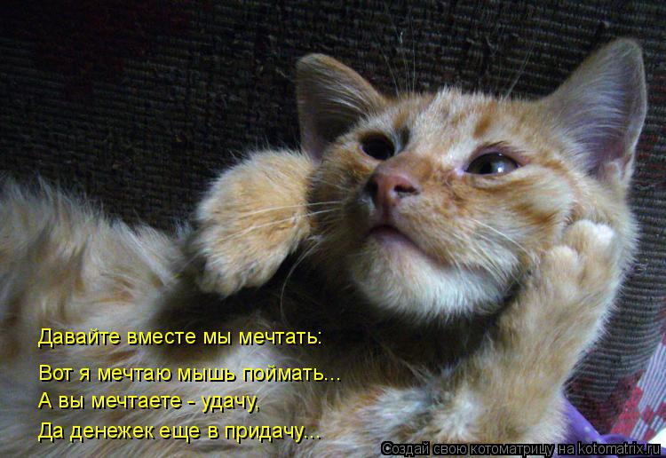 Вот я мечтаю мышь поймать... Давайте вместе мы мечтать: А вы мечтаете - удачу, Да денежек еще в прида... Котоматрица: Вот я мечтаю мышь поймать... Давайте вместе мы мечтать: А вы мечтаете - удачу, Да денежек еще в придачу...