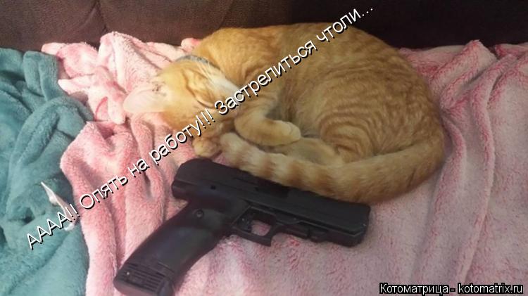 АААА!! Опять на работу!!! Застрелиться чтоли...... Котоматрица: АААА!! Опять на работу!!! Застрелиться чтоли...