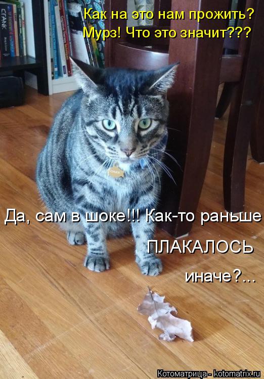 Котоматрица: Как на это нам прожить? Мурз! Что это значит??? Да, сам в шоке!!! Как-то раньше ПЛАКАЛОСЬ  иначе?...