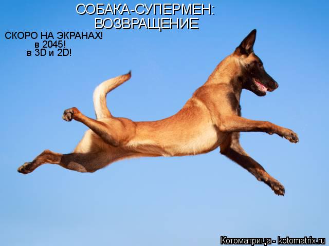 СОБАКА-СУПЕРМЕН: ВОЗВРАЩЕНИЕ СКОРО НА ЭКРАНАХ! в 2045! в 3D и 2D!... Котоматрица: СОБАКА-СУПЕРМЕН: ВОЗВРАЩЕНИЕ СКОРО НА ЭКРАНАХ! в 2045! в 3D и 2D!