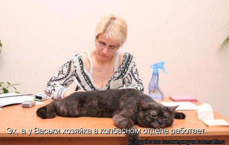 Котоматрица: Эх, а у Васьки хозяйка в колбасном отделе работает...