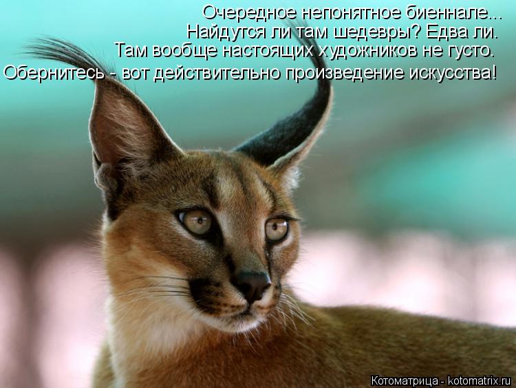 Котоматрица: Очередное непонятное биеннале... Найдутся ли там шедевры? Едва ли. Там вообще настоящих художников не густо. Обернитесь - вот действительно 