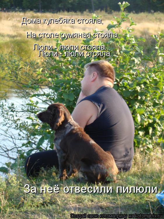 Котоматрица: Дома кулебяка стояла,  На столе румяная стояла, Люли - люли стояла... Люли - люли стояла... За неё отвесили пилюли...