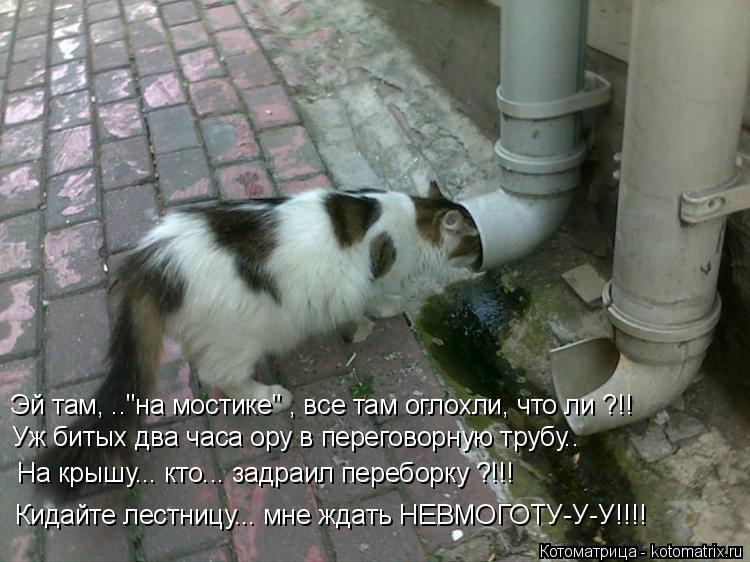 Котоматрица: Уж битых два часа ору в переговорную трубу.. На крышу... кто... задраил переборку ?!!! Кидайте лестницу... мне ждать НЕВМОГОТУ-У-У!!!! Эй там, .."на мо