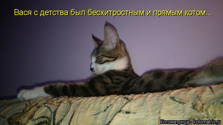 Котоматрица: Вася с детства был бесхитростным и прямым котом...