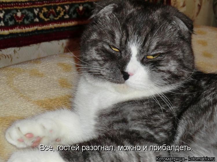 Котоматрица: Все, гостей разогнал, можно и прибалдеть.