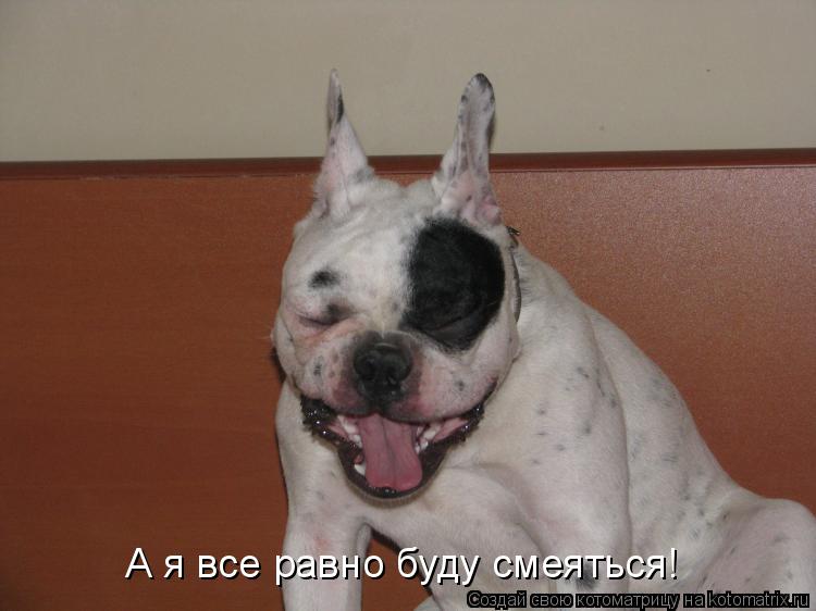 Котоматрица: А я все равно буду смеяться!