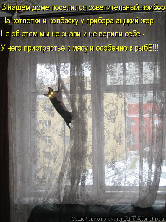 Котоматрица: На котлетки и колбаску у прибора аццкий жор. Но об этом мы не знали и не верили себе -  В нашем доме поселился осветительный прибор! У него при