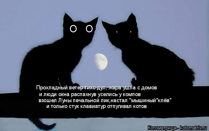 Котоматрица: Прохладный ветер тихо дул, жара ушла с домов и люди окна распахнув уселись у компов взошел Луны печальной лик,настал "мышиный"клёв" и только 