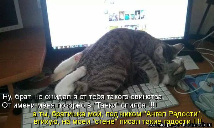 Котоматрица: Ну, брат, не ожидал я от тебя такого свинства, От имени меня позорно в "Танки" слился !!!! а ты, братишка мой, под ником "Ангел Радости", втихую, на