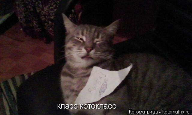 Котоматрица: класс котокласс