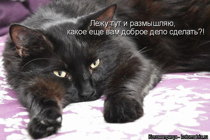 Котоматрица: Лежу тут и размышляю,  какое еще вам доброе дело сделать?!