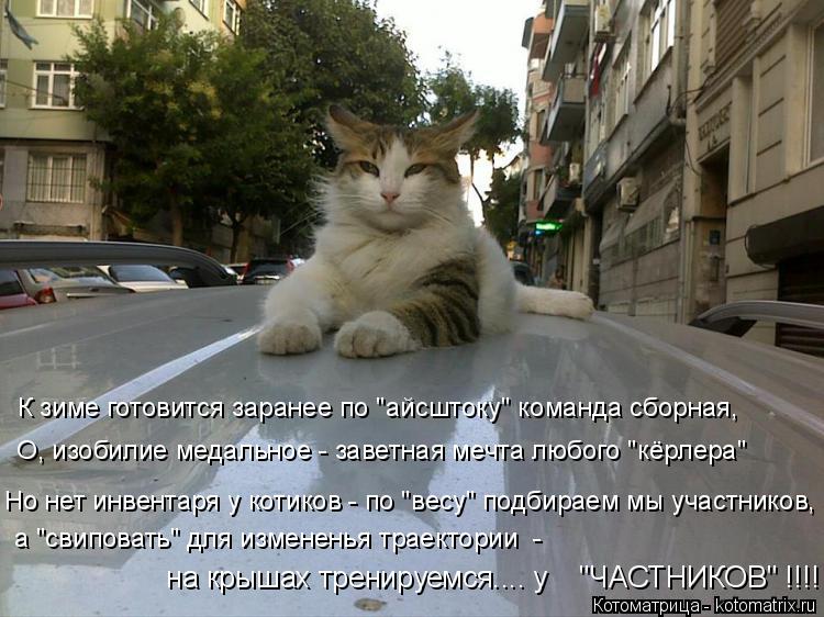 Котоматрица: Но нет инвентаря у котиков - по "весу" подбираем мы участников, К зиме готовится заранее по "айсштоку" команда сборная,  О, изобилие медальное 